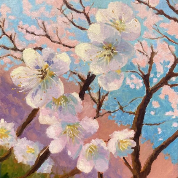 Oil painting of white and pink cherry blossoms against a blue and pink sky with expressive impressionist brushwork