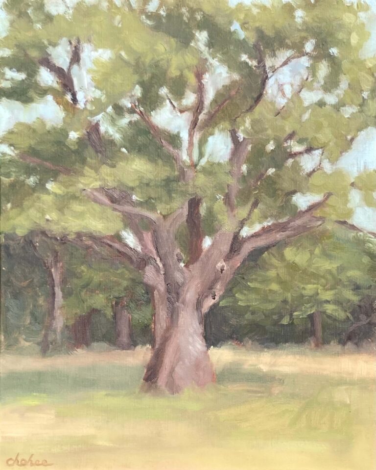Plein air oil painting of a large ancient tree with textured bark and spreading branches in Sudley Fields Liverpool