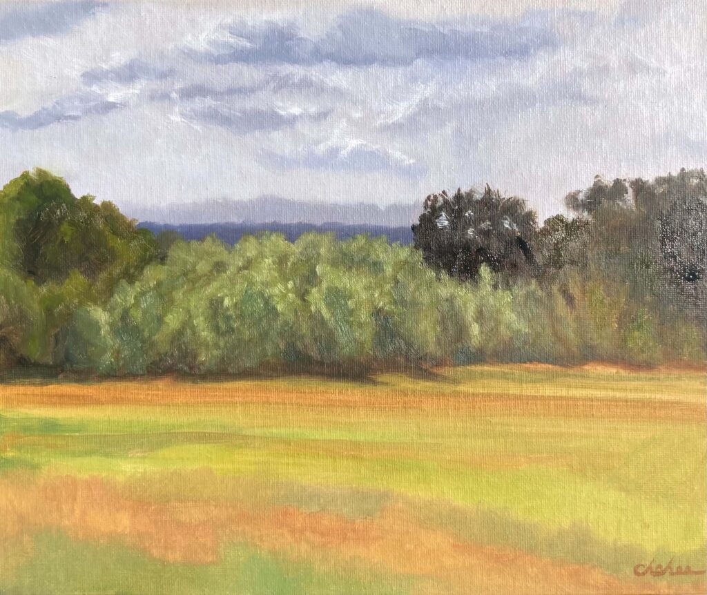 Plein air oil painting of green fields and trees under a bright open sky at Sudley Fields south Liverpool