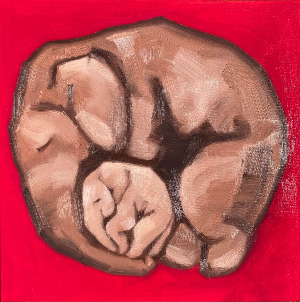 Full view of a square oil painting of a mother and baby elephant curled into one round shape, centred on a bold red background.